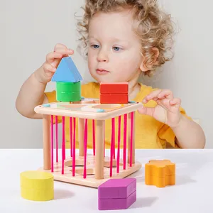Montessori Shape Sorter Box